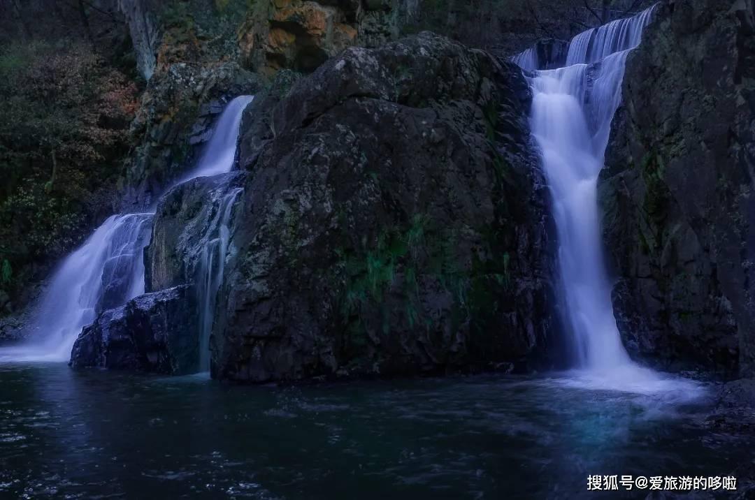 救援七星瓢虫